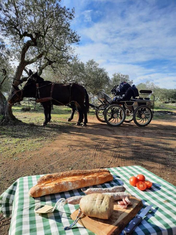 Can Barraca Avinyonet de Puigventós Exteriér fotografie