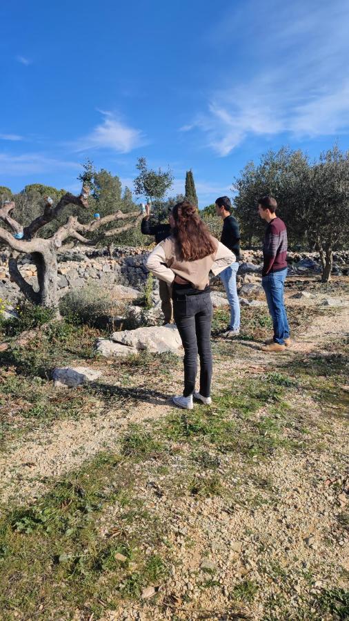 Can Barraca Avinyonet de Puigventós Exteriér fotografie